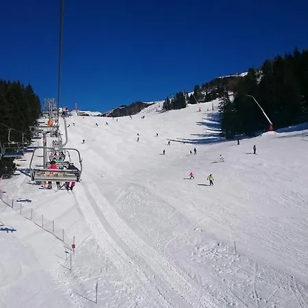 Apartment Miki's Ski Krvavec